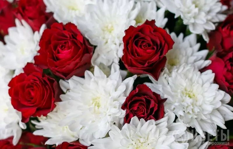 25 красных роз и 5 кустовых хризантем №3