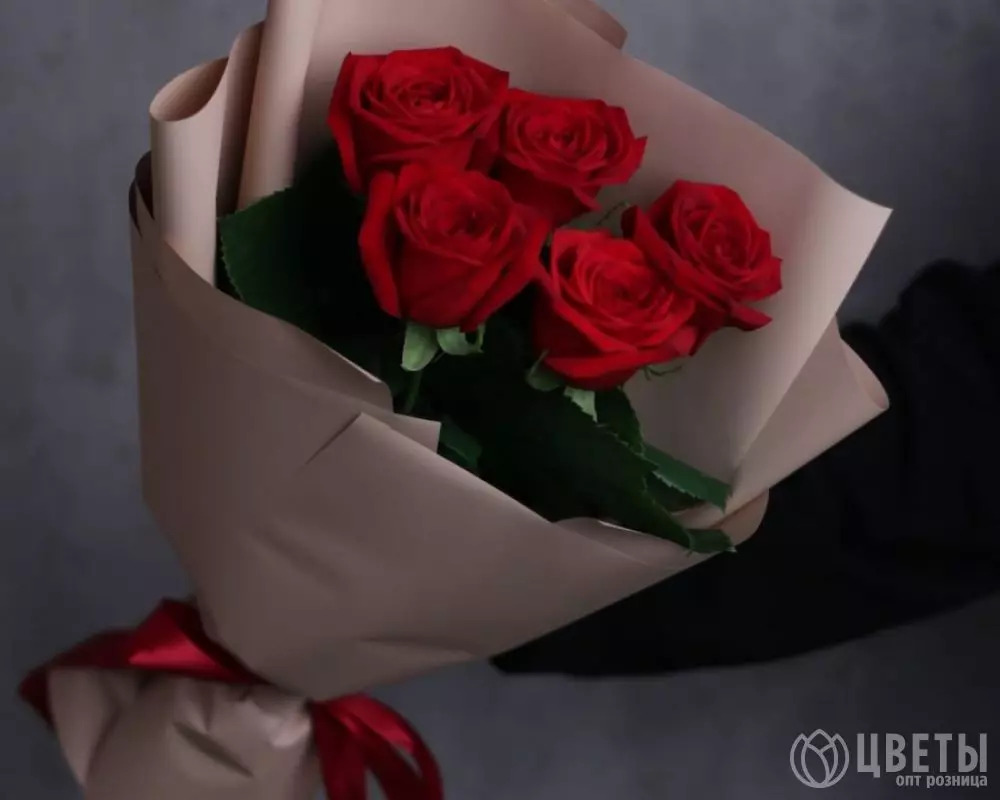 5 красных роз Эквадор 60 см в упаковке №1