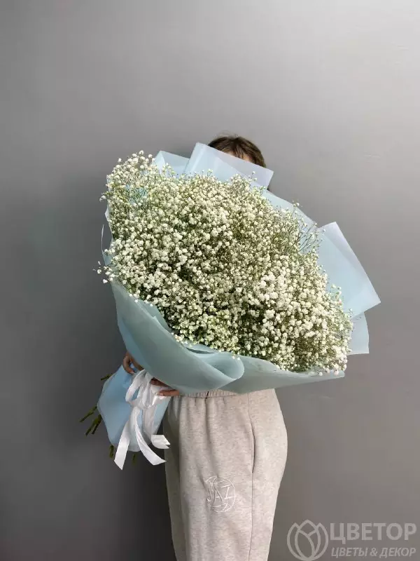 Букет из 25 белых гипсофил №1
