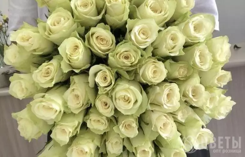 55 белых роз Кении 40 см №1