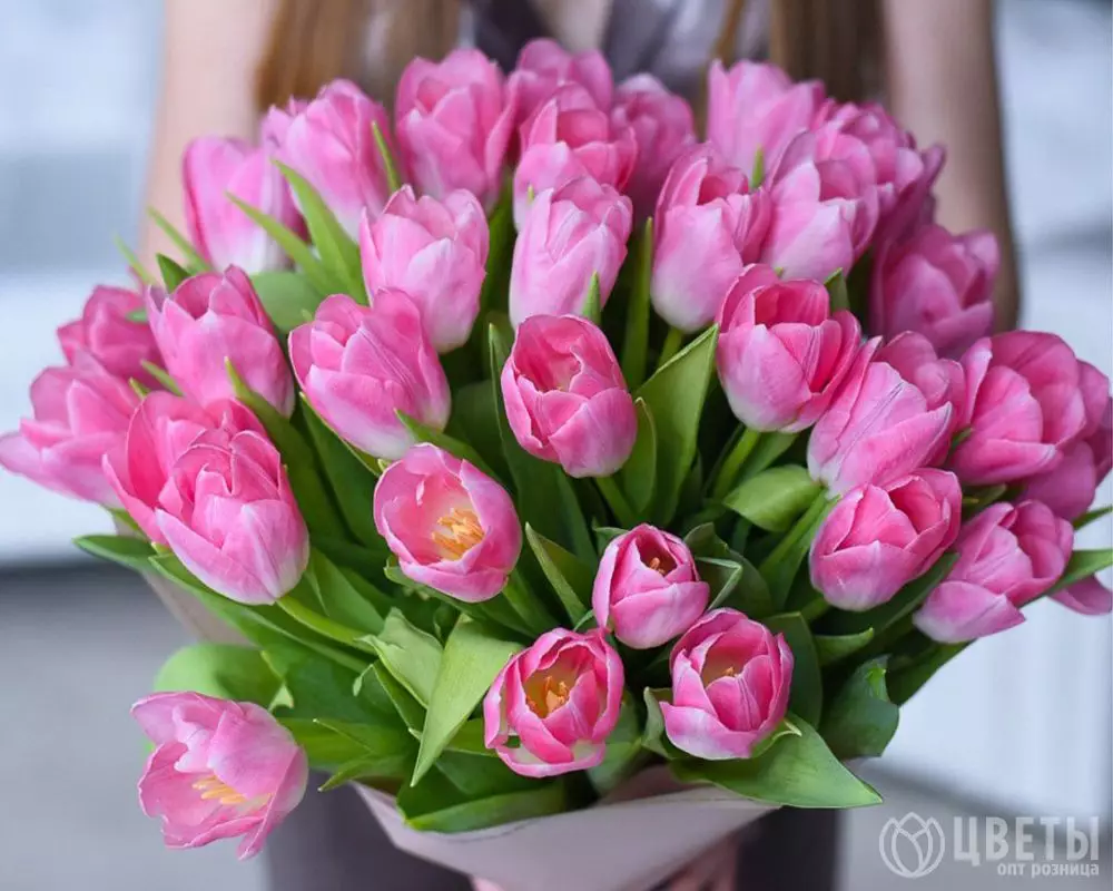 25 розовых тюльпанов в упаковке №3