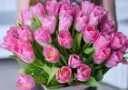25 розовых тюльпанов в упаковке small №3