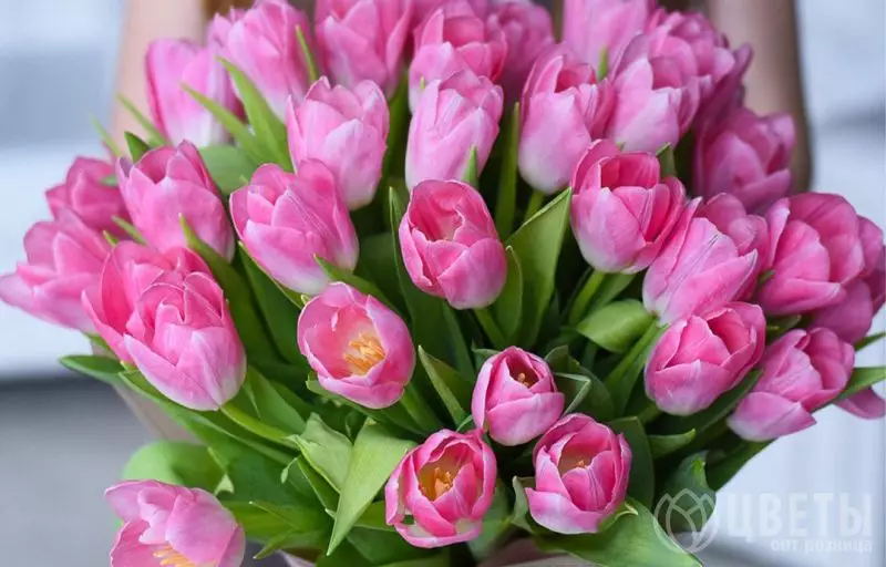 25 розовых тюльпанов в упаковке №3