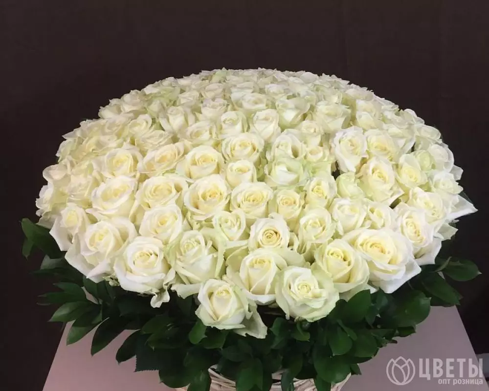 101 белой розы в корзине с зеленью №1