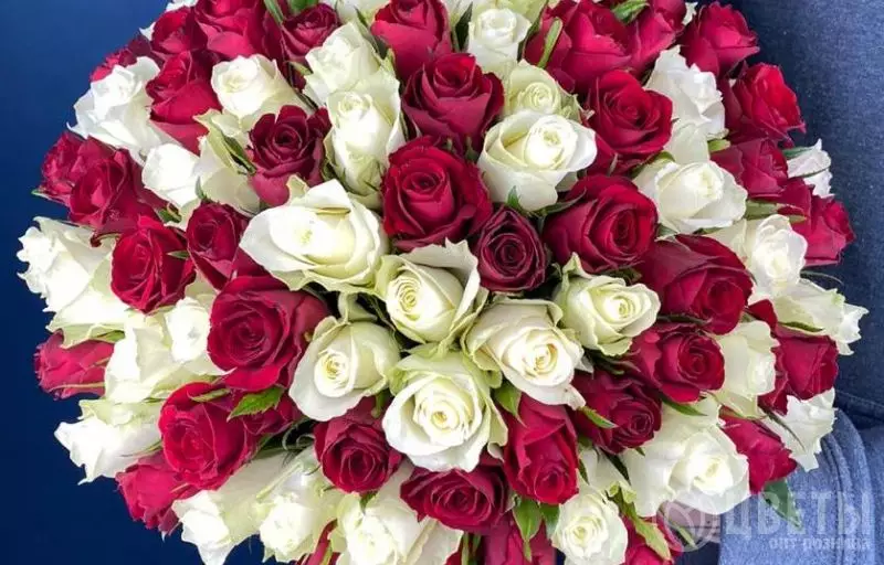 101 Белая и Красная Роза Кения Премиум 40 см №1
