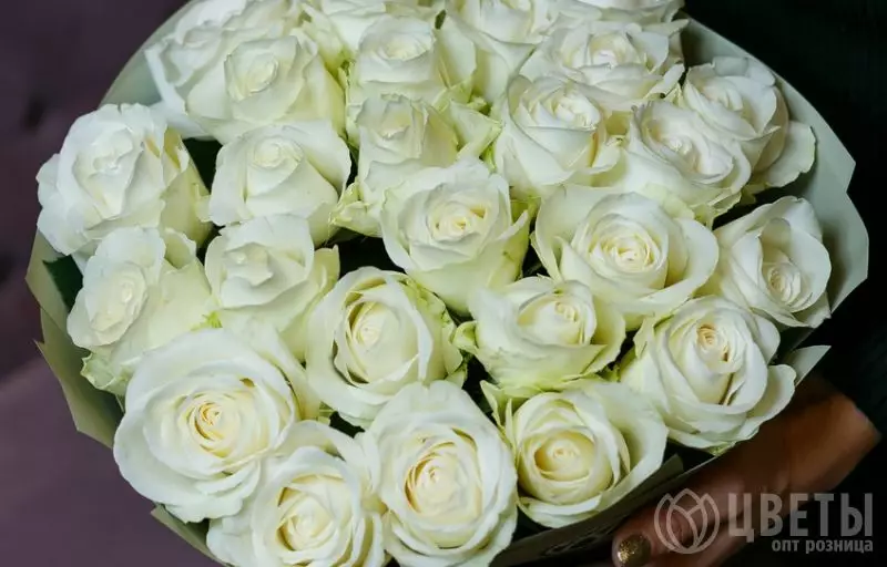 25 белых роз Эквадор 60 см в упаковке №1