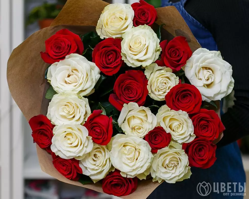 25 белых и красных роз Эквадор 70 см в упаковке №2
