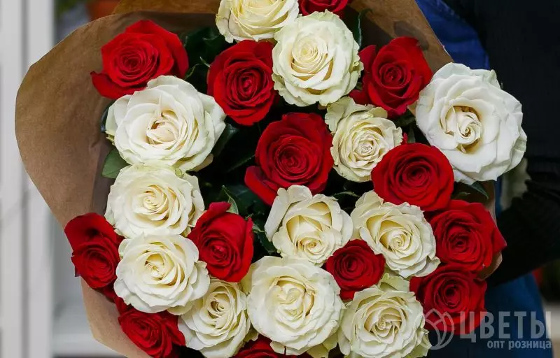25 белых и красных роз Эквадор 70 см в упаковке №2