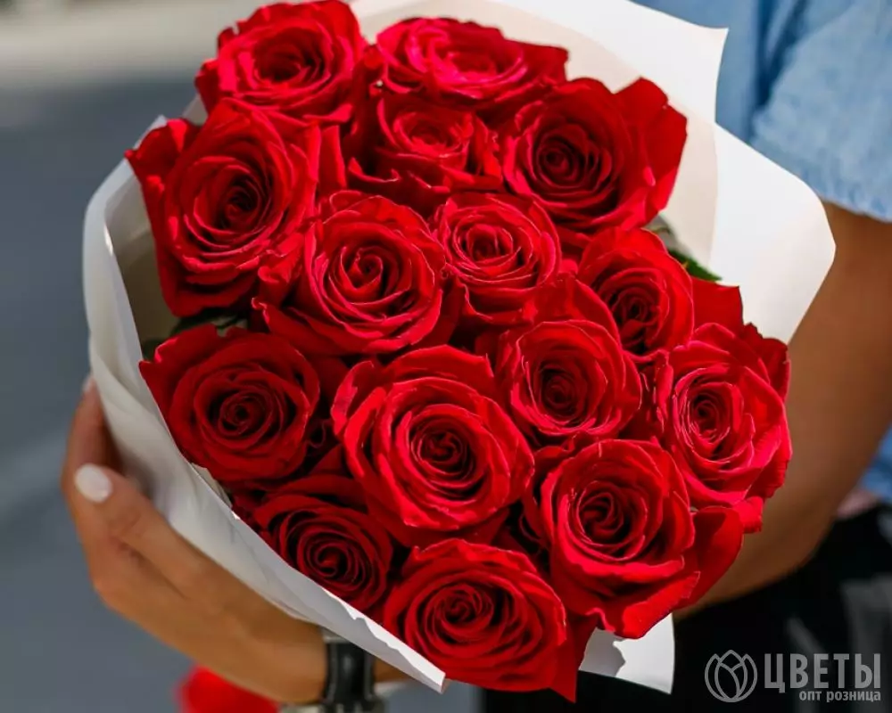 15 красных роз Эквадор 60 см в упаковке №2