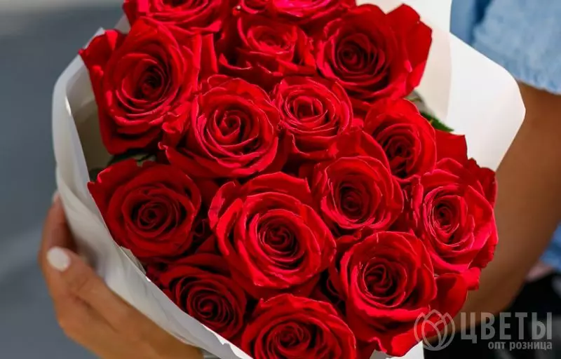 15 красных роз Эквадор 60 см в упаковке №2